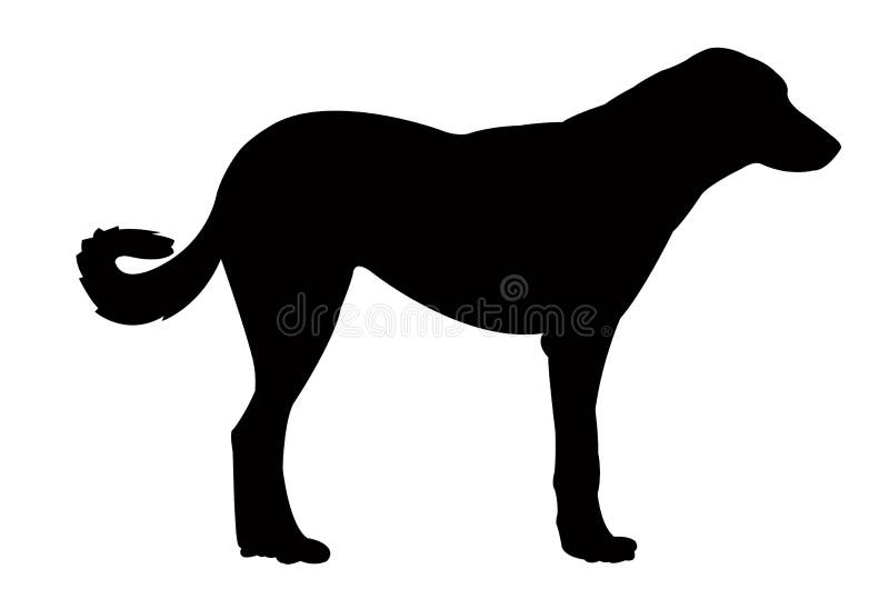 Un cuerpo del perro, vector de la silueta ilustración del vector Un cuerpo del perro, vector de la silueta ilustración del vector