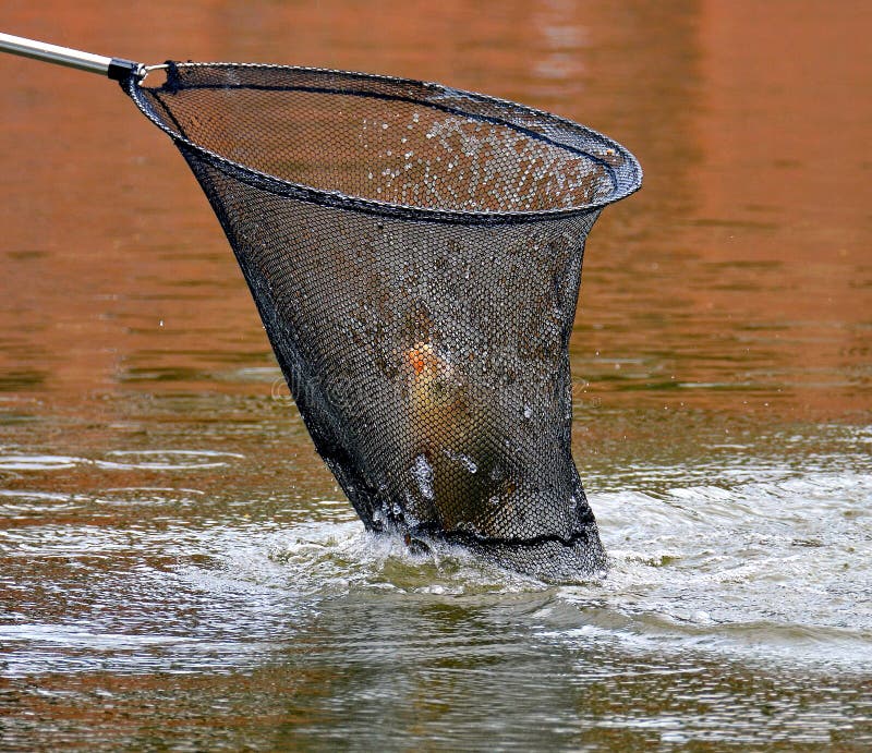 Un des articles les plus nécessaires dans l'arsenal du pêcheur est un atterrissage-filet de pêche Les premiers poissons ont attra image stock Un des articles les plus nécessaires dans l'arsenal du pêcheur est un atterrissage-filet de pêche Les premiers poissons ont attra image stock