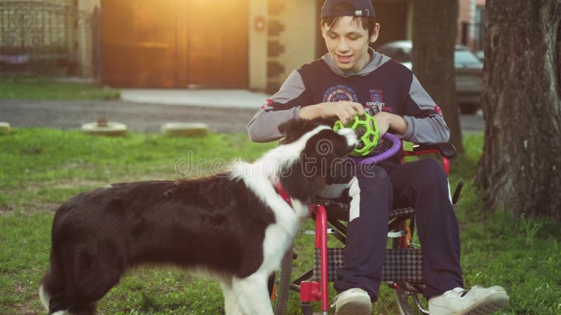 Un disabile gioca con un cane, la terapia di canitis, il trattamento di inabilità con addestramento con un cane, uomo in a