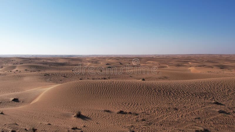 Un drone sur les dunes de sable du désert à Dubaï. Une journée ensoleillée d'été une route déserte. banque de vidéos
