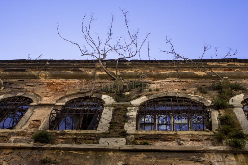 Un edificio viejo grande del cual los árboles crecen Un edificio antiguo con las ventanas en las cuales están los enrejados fotografía de archivo Un edificio viejo grande del cual los árboles crecen Un edificio antiguo con las ventanas en las cuales están los enrejados fotografía de archivo