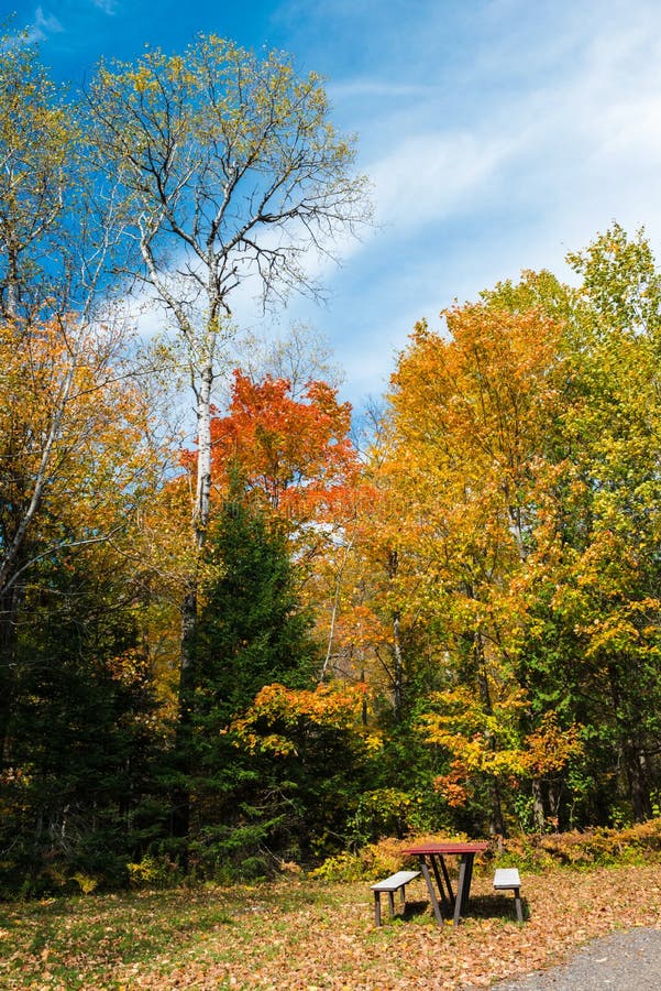 Un endroit idéal pour le repos, entouré par les arbres colorés de chute photos stock Un endroit idéal pour le repos, entouré par les arbres colorés de chute photos stock