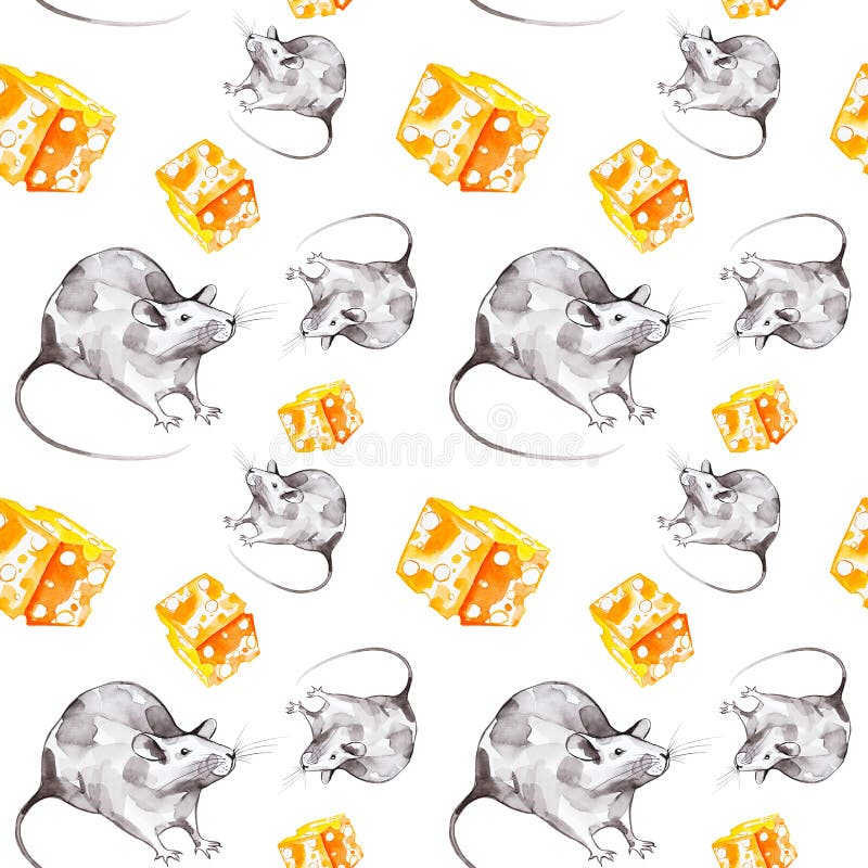 Rat Gris Disolement Sur Le Fond Blanc Image Stock Image