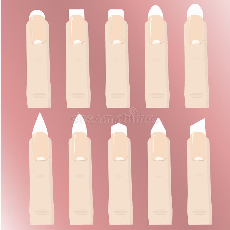 Un ensemble de types de formes de clou Procédure des prolongements de clou manucure illustration stock Un ensemble de types de formes de clou Procédure des prolongements de clou manucure illustration stock