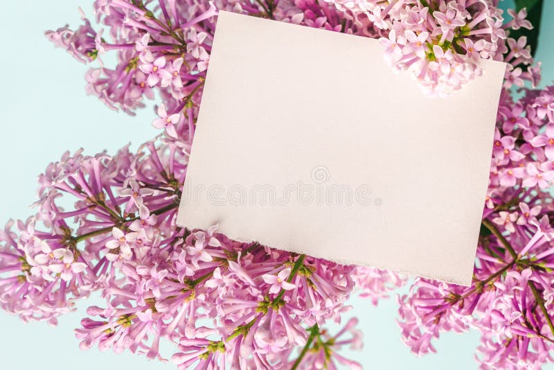 Un espace de travail avec papier de note et composition florale lilas. magnifique arrière-plan de ressort avec espace pour la vue images libres de droits