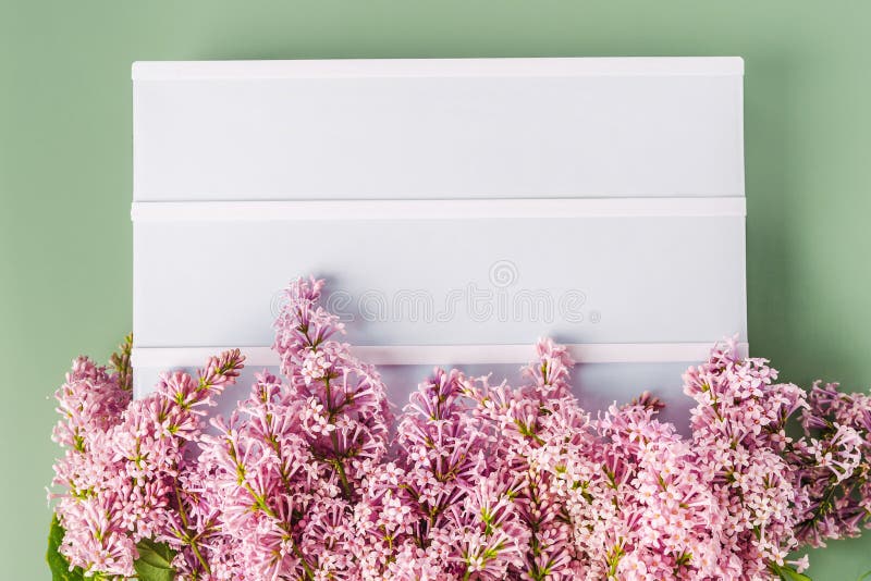 Un espace de travail avec papier de note et composition florale lilas. magnifique arrière-plan de ressort avec espace pour la vue photographie stock