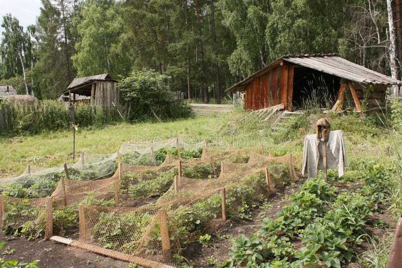 Un espantapájaros se coloca en el jardín verde imágenes de archivo libres de regalías Un espantapájaros se coloca en el jardín verde imágenes de archivo libres de regalías