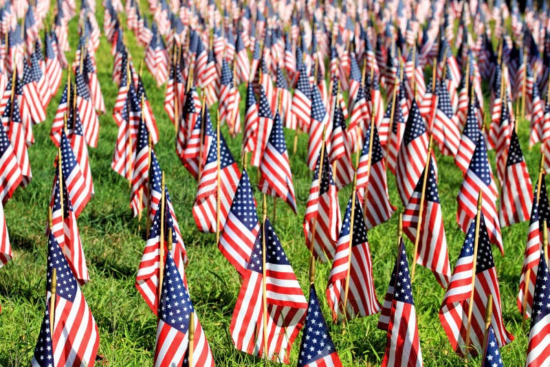 Un'esposizione di centinaia di bandiere americane fotografia stock libera da diritti Un'esposizione di centinaia di bandiere americane fotografia stock libera da diritti
