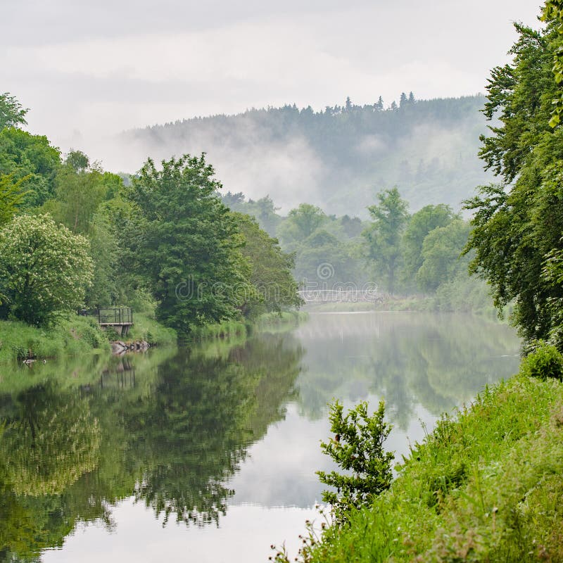 Un fiume con le riflessioni calme degli alberi e dell'acqua coperte da foschia