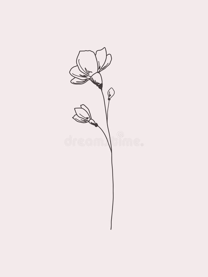 Un fond floral roz delicat, cu un vector izolat înflorit, cu crenguță delicată, desenat manual royalty free illustration