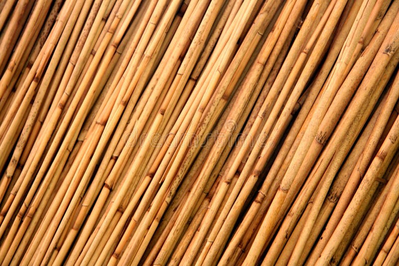 Un fragment d'un toit couvert de chaume photo stock Un fragment d'un toit couvert de chaume photo stock