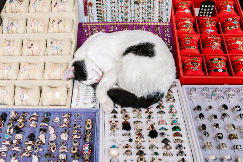 Un Gato Duerme Un Mostrador De Joyas En Mercado De Estambul. Mercado Imagen de archivo - Imagen de bazar, animal: 180398675