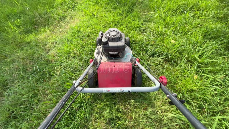 Il giardiniere taglia l'erba verde con un tosaerba a benzina in