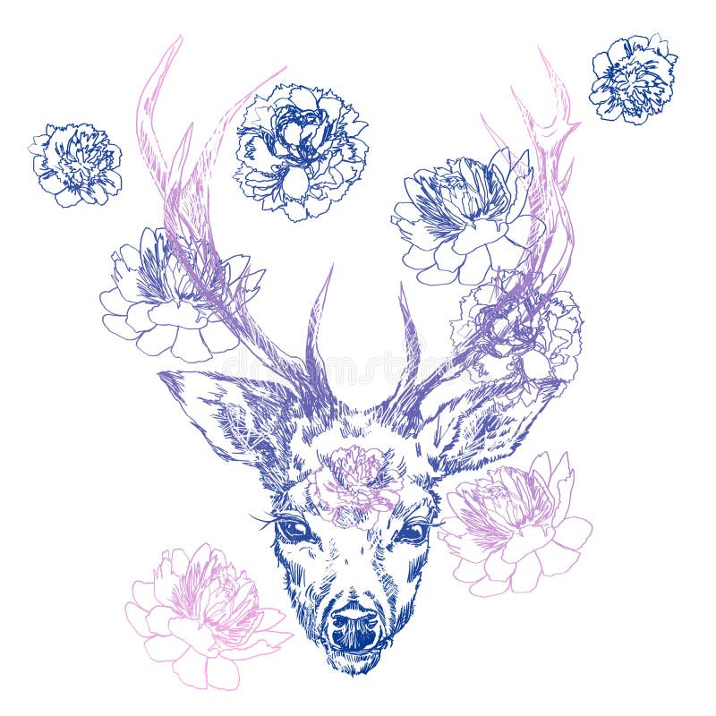 Un giovane cervo con i corni cornei su cui le peonie sono piantate Illustrazione Progetti un tatuaggio, un simbolo di magia misti illustrazione vettoriale Un giovane cervo con i corni cornei su cui le peonie sono piantate Illustrazione Progetti un tatuaggio, un simbolo di magia misti illustrazione vettoriale
