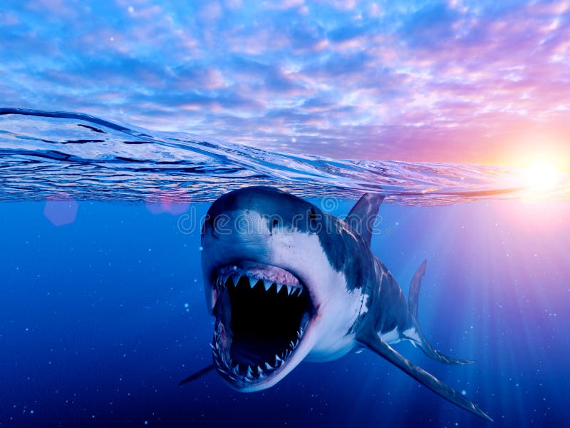 3d rendered illustration of a great white shark. 3d rendered illustration of a great white shark