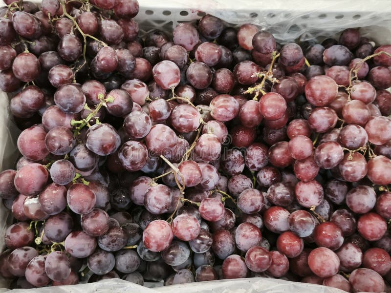 Un grande grappolo di uva rossa in una cassa di plastica fotografia stock libera da diritti