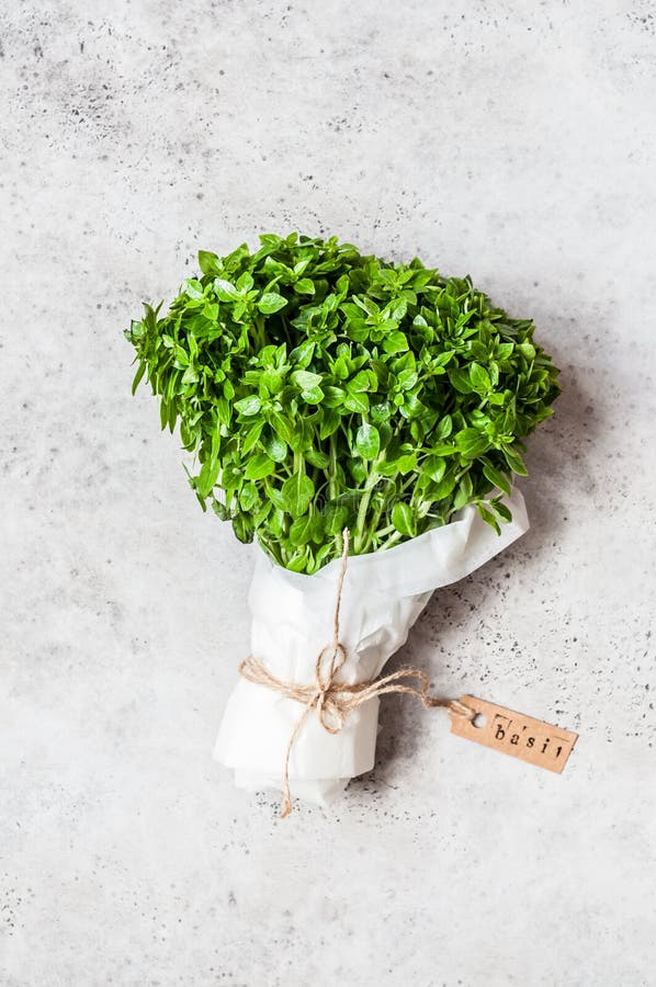 Un groupe de Basil Wrapped en papier, l'espace de copie pour votre texte