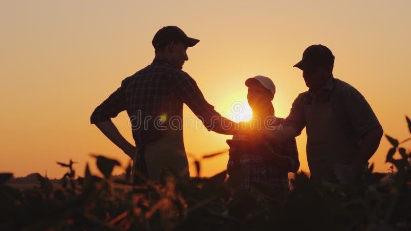 Un grup de agricultori din domeniu care dau mâna. întreprindere agricolă familială royalty free stock image