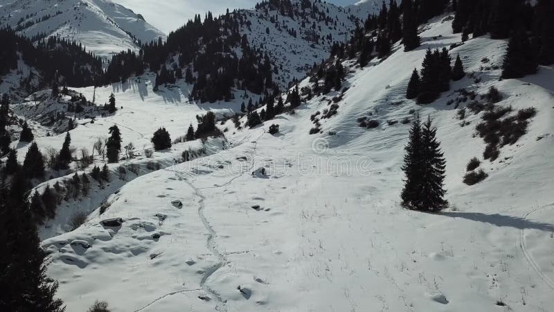 Un gruppo di persone cammina lungo un percorso nevoso nelle montagne fra gli abeti