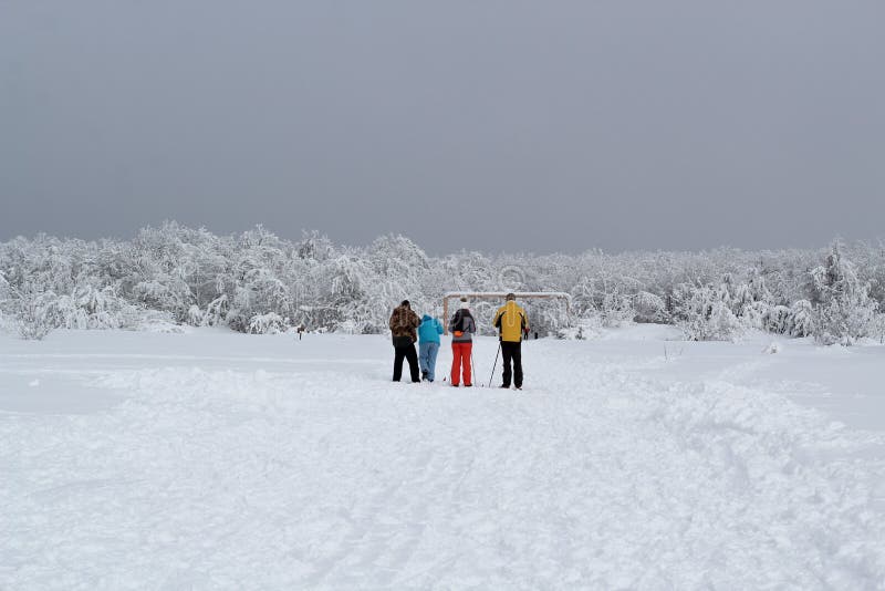Un gruppo di turisti nei vestiti luminosi di sport sta sciando all'entrata alla foresta innevata immagini stock libere da diritti Un gruppo di turisti nei vestiti luminosi di sport sta sciando all'entrata alla foresta innevata immagini stock libere da diritti