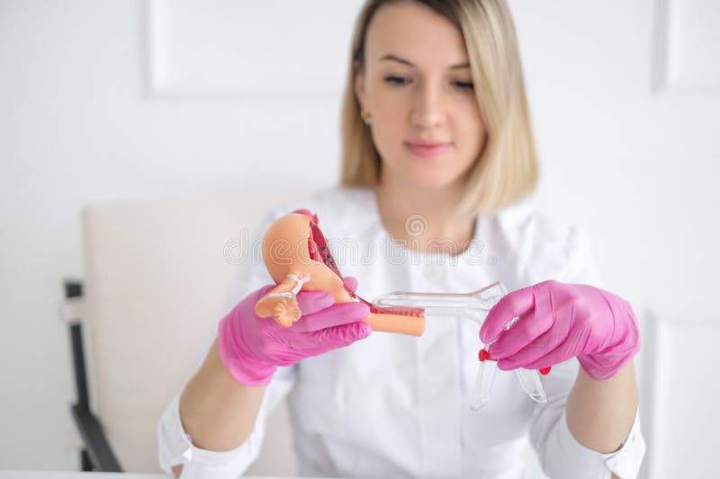 Un gynécologue avec un spéculum médical plastique montre le processus d'examen sur un modèle anatomique de l'utérus photographie stock libre de droits