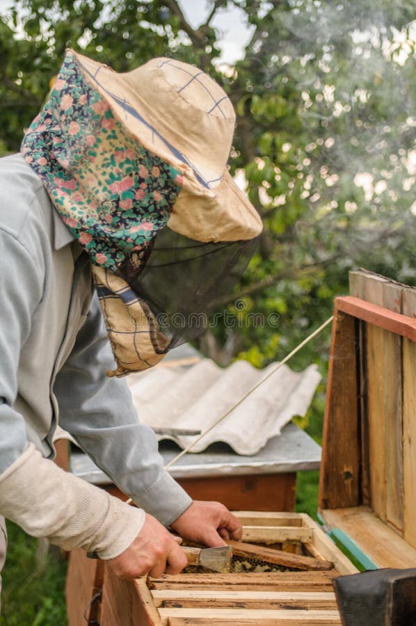 Un hombre escribe en una granja en una colmena de la abeja imagen de archivo Un hombre escribe en una granja en una colmena de la abeja imagen de archivo