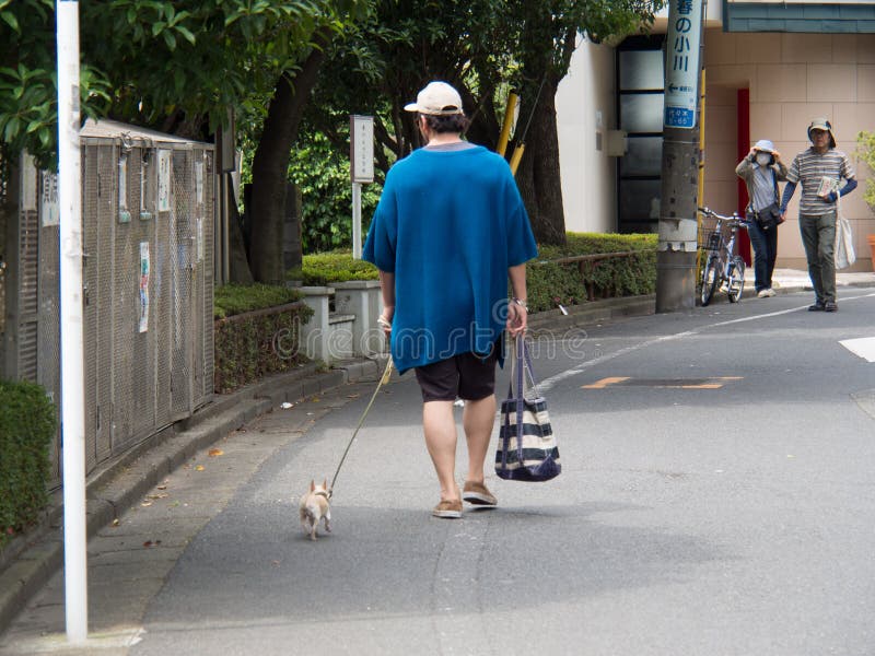 Un hombre grande y un perro minúsculo fotografía de archivo libre de regalías Un hombre grande y un perro minúsculo fotografía de archivo libre de regalías