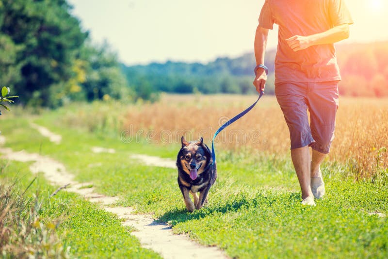 Un homme avec un chien court le long de la route images stock Un homme avec un chien court le long de la route images stock
