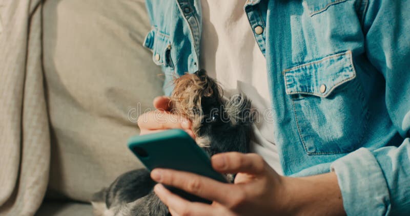 Un homme brille un chien en utilisant son téléphone pour commander de la nourriture en ligne pour animal de compagnie une applicat clips vidéos