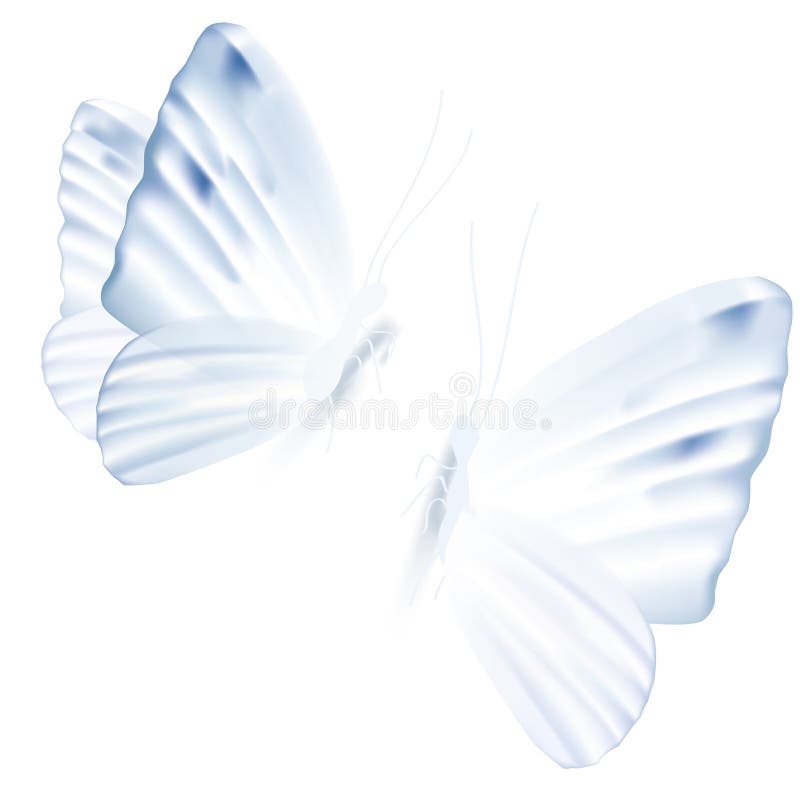 Un'illustrazione di vettore di due farfalle blu-chiaro royalty illustrazione gratis Un'illustrazione di vettore di due farfalle blu-chiaro royalty illustrazione gratis