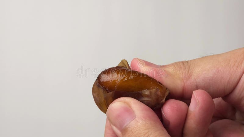 Un'immagine di chiusura di un frutto datato strappato a metà rivelandone l'interno marrone lucido simile a una candela.. La pelle stock footage