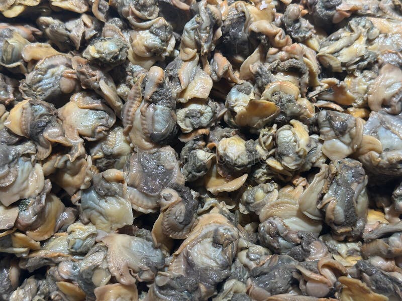 Un'immagine ravvicinata di una grande pila di vongole fresche in un mercato dei frutti di mare fotografia stock