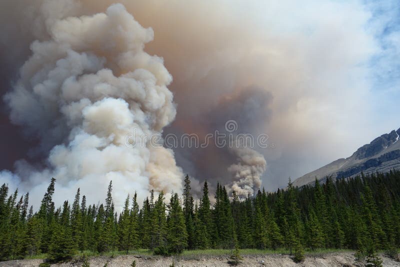 Un incendie de forêt en parc national photo libre de droits Un incendie de forêt en parc national photo libre de droits
