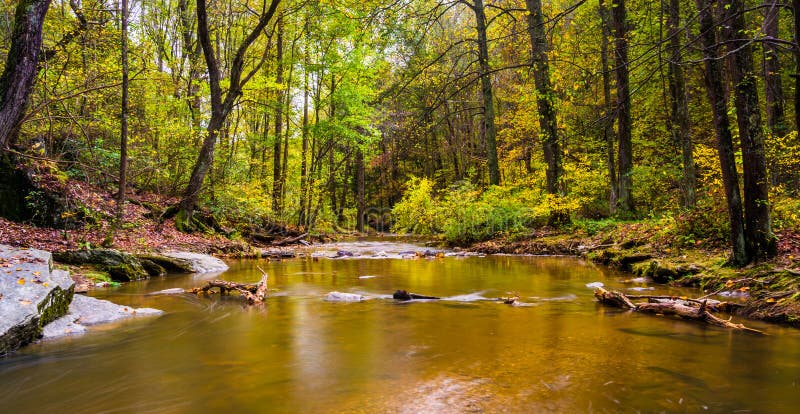 Un'insenatura al parco di stato delle rocce, Maryland immagini stock Un'insenatura al parco di stato delle rocce, Maryland immagini stock