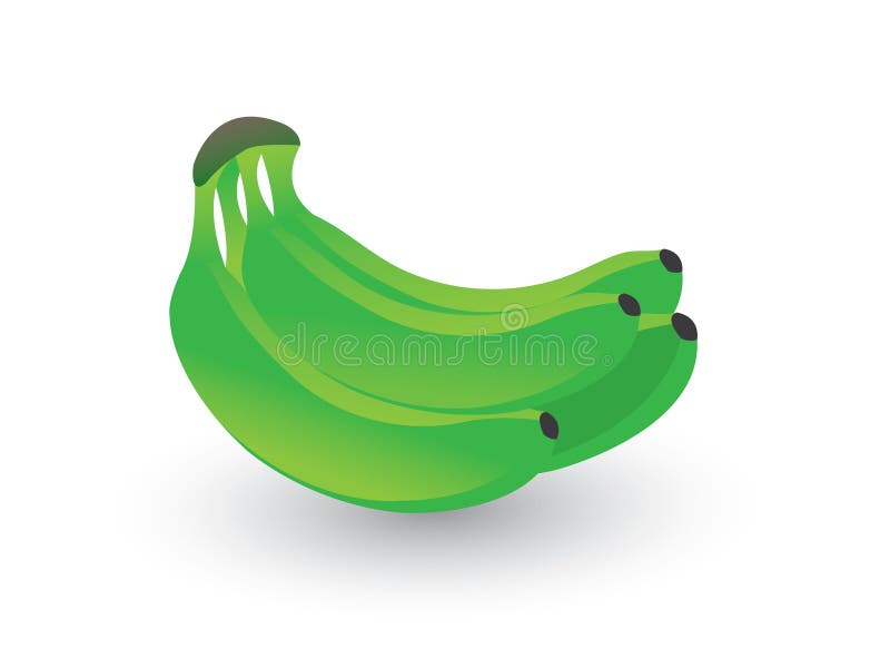 Un insieme della banana fresca verde su fondo bianco illustrazione di stock Un insieme della banana fresca verde su fondo bianco illustrazione di stock