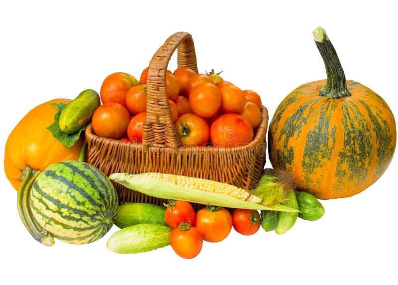 Un insieme di autunno dei prodotti isolati su un fondo bianco immagini stock Un insieme di autunno dei prodotti isolati su un fondo bianco immagini stock