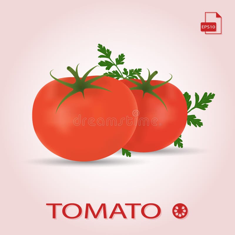 Un insieme di due pomodori maturi freschi con le foglie royalty illustrazione gratis Un insieme di due pomodori maturi freschi con le foglie royalty illustrazione gratis
