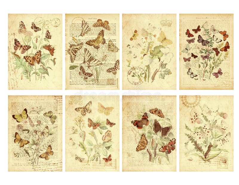 Un insieme di otto modifiche della farfalla di stile dell'annata illustrazione di stock