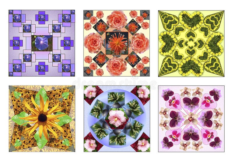 Un insieme di sei quadrati floreali fatti dei fiori naturali immagini stock Un insieme di sei quadrati floreali fatti dei fiori naturali immagini stock