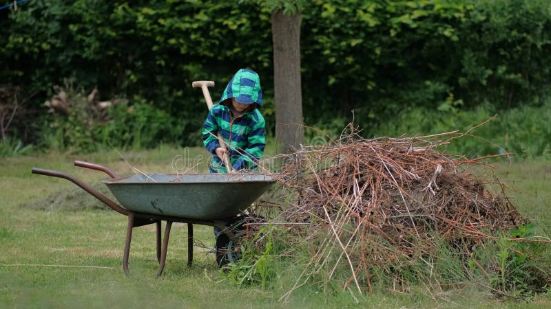 Un jeune garçon aide à enlever les branches sèches avec une fourche de cuisine d'une brouette dans le jardin arrière banque de vidéos