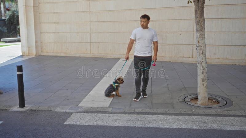 Un joven asiático caminando con su perro por una correa en una calle urbana imagen de archivo