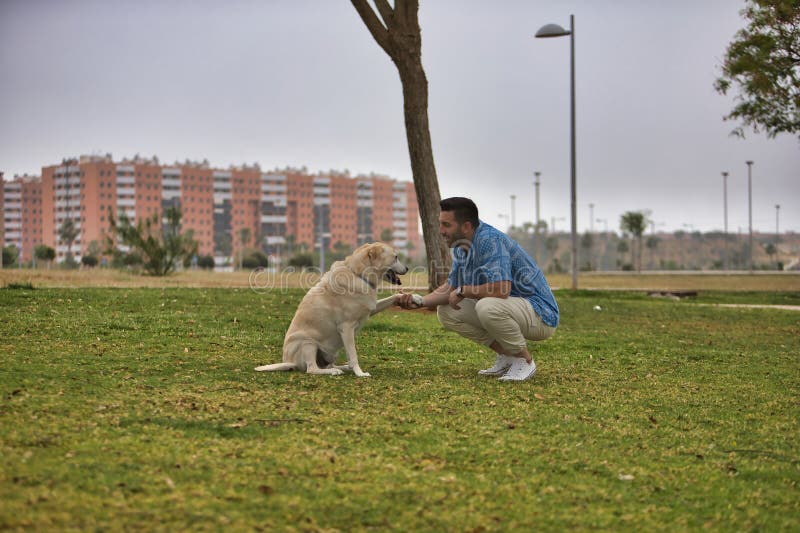 Un joven hispano agachándose en el pasto sujetando su garra de perros mientras se miraba. animales de compañía de perros de concep imágenes de archivo libres de regalías