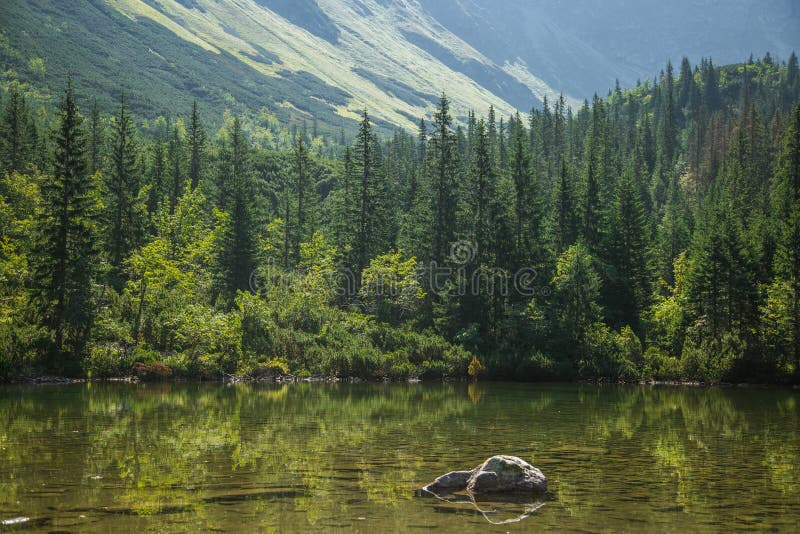 Un lago hermoso, limpio en el valle de la montaña en la calma, día soleado Paisaje de la montaña con agua en verano imagenes de archivo Un lago hermoso, limpio en el valle de la montaña en la calma, día soleado Paisaje de la montaña con agua en verano imagenes de archivo