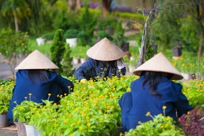 Un lavoro vietnamita di tre donne in giardino