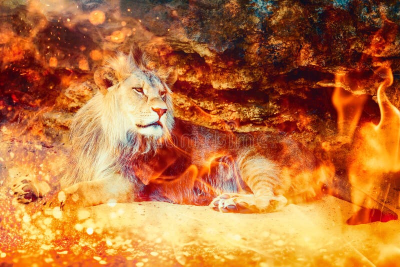 Un leu alb maiestuos se așează în fața unui foc care întruchipează spiritul de foc al berii și puterea tarotului. royalty free stock images