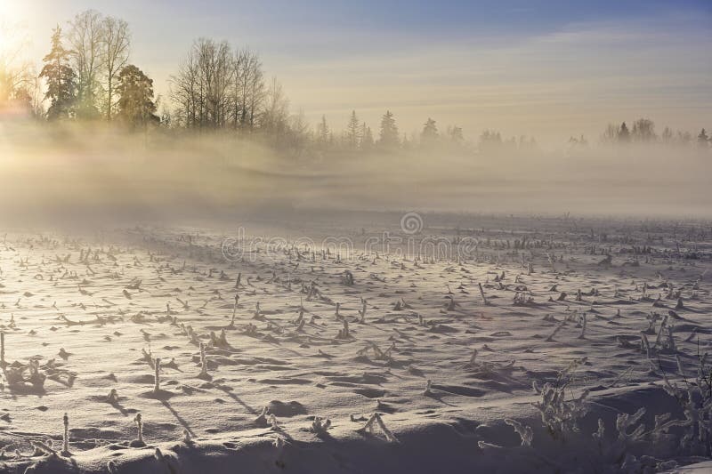 Un lever de soleil hivernal époustouflant sur un terrain gelé avec de la brume douce qui traverse le paysage image libre de droits