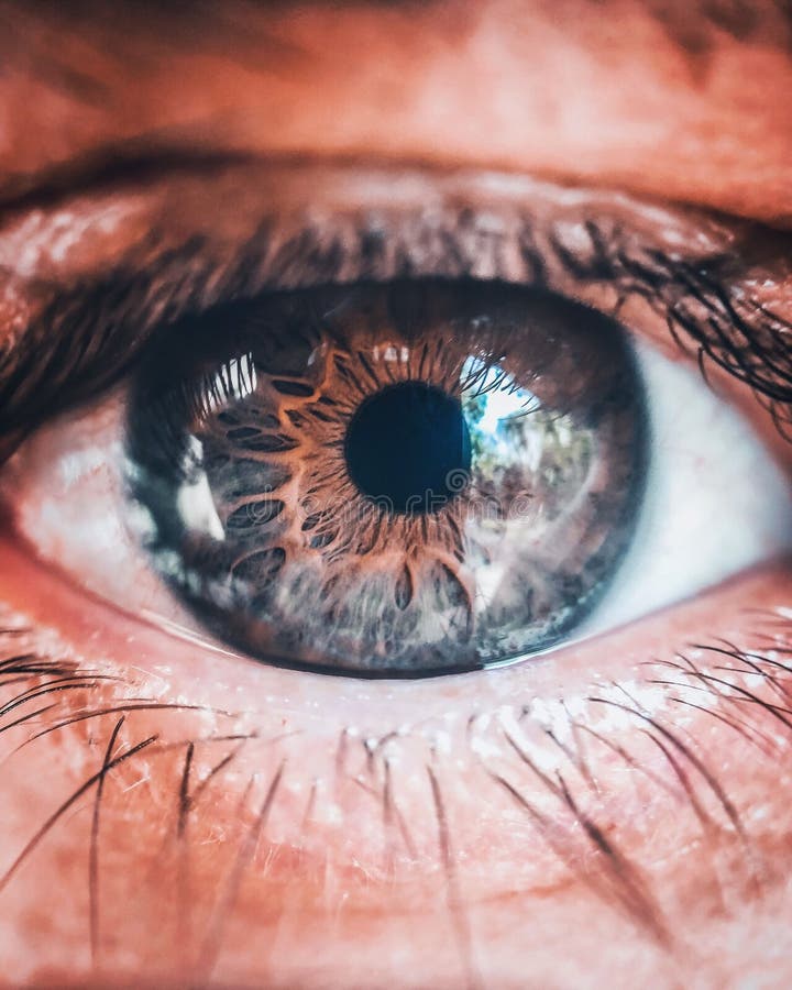 Un magnifique closeup d'un oeil humain avec l'iris mis en évidence photos stock