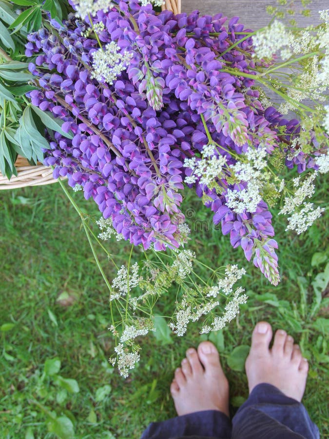 Un mazzo dei fiori selvaggi e una condizione dei piedi della donna sull'erba fotografia stock libera da diritti Un mazzo dei fiori selvaggi e una condizione dei piedi della donna sull'erba fotografia stock libera da diritti
