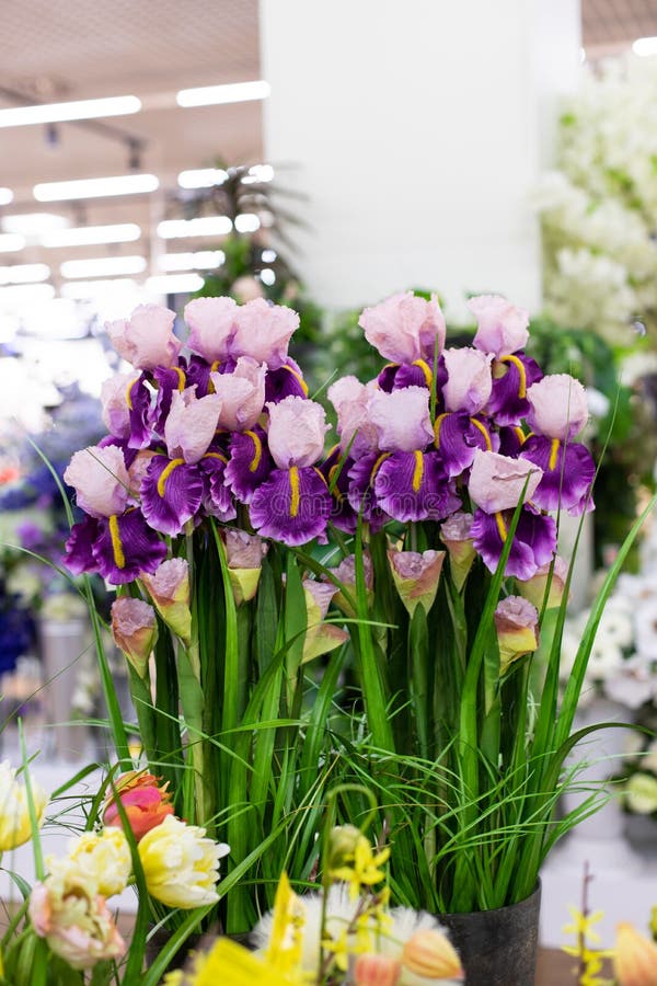 https://thumbs.dreamstime.com/b/un-mazzo-di-sofisticati-falsi-iris-su-lunghi-stemmi-petali-iride-tessuto-bianco-viola-interni-decorati-per-finti-fiori-color-167298170.jpg