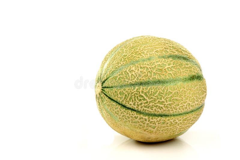 Un melón cantalupo entero foto de archivo